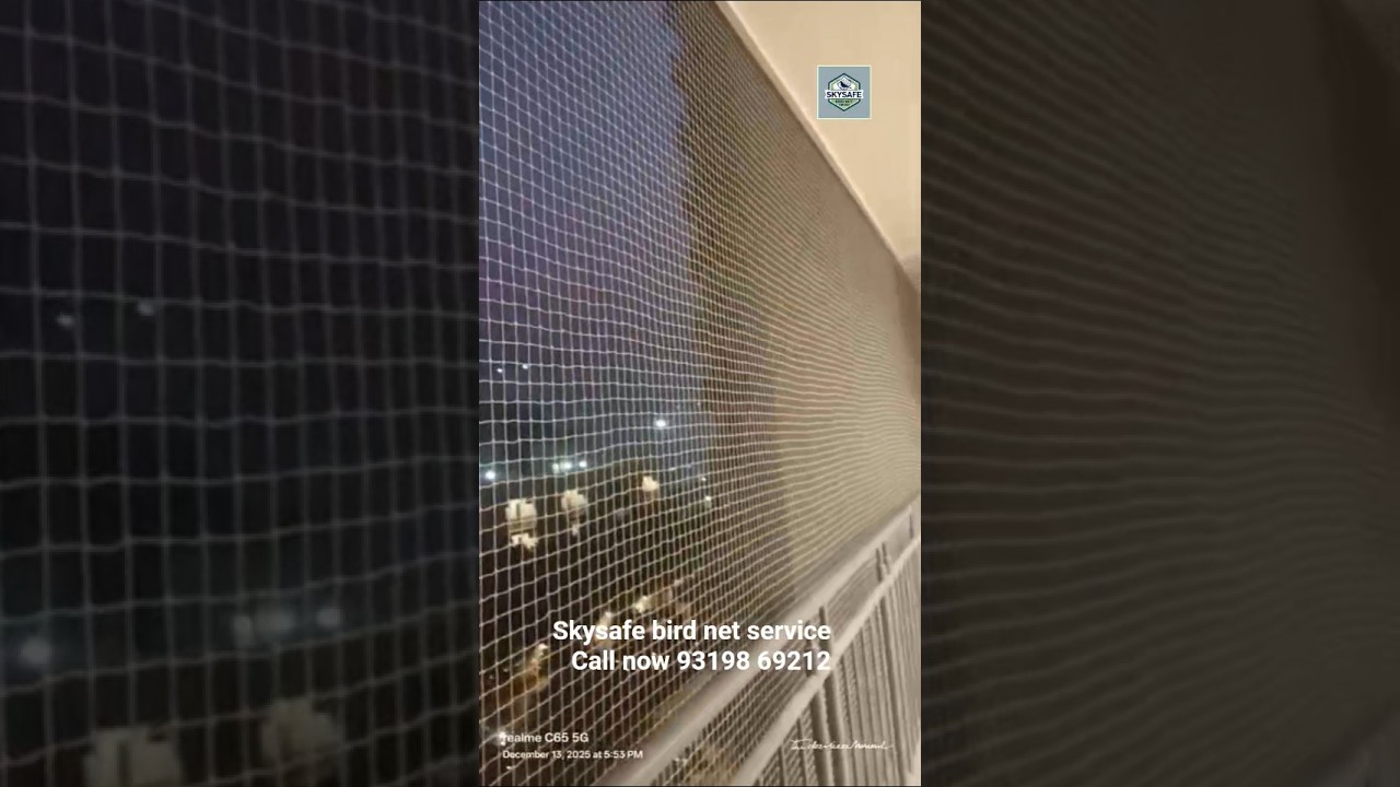 Skysafe bird net services bird Netting Services bird Control kabutar Jaal 