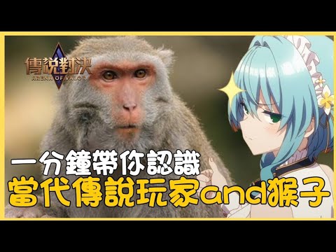 傳說對決｜一部片帶你認識，當代傳說玩家and猴子！！#純屬娛樂