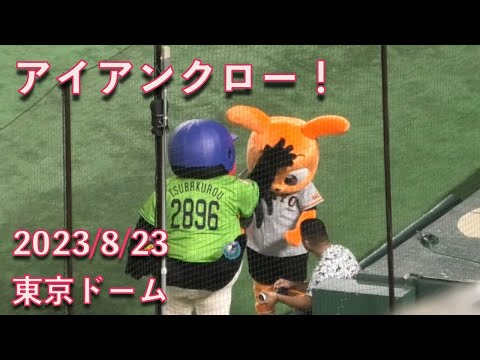 つば九郎、キッズジャビットにアイアンクロー 2023/8/23