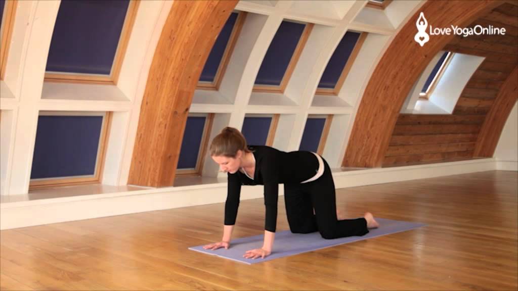 Beginners Yoga Movement and Breath Part 1