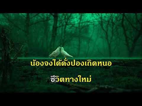 ดาวลอย ผู้แต่ง พยงค์ มุกดา เพลงลูกกรุง รวมเพลง คีย์ผู้หญิง ร้อง คาราโอเกะ ช่วง lisa  blackpink กำลัง