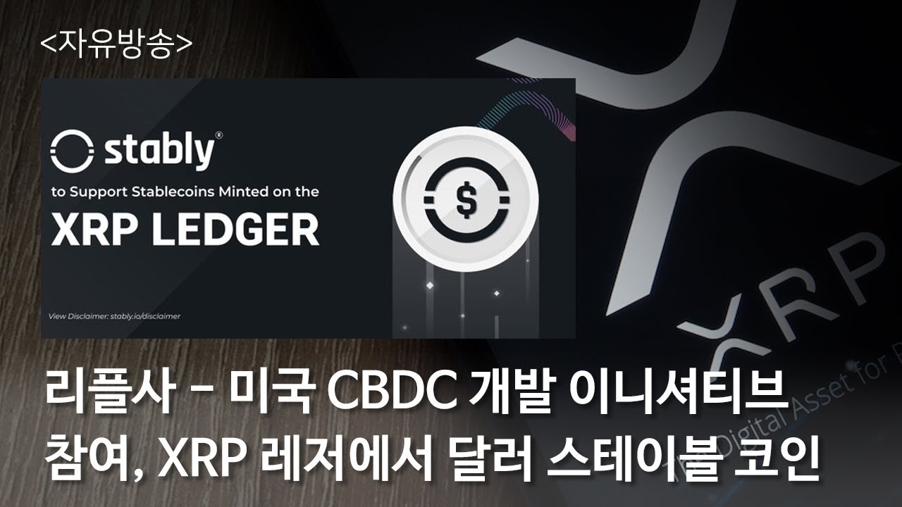 XRP CBDC XRP YouTube xrp-cbdc-xrp-youtube