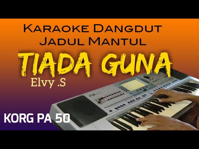 TIADA GUNA -  Elvy Sukaesih, Karaoke Dangdut Lawas class=
