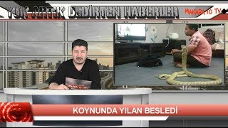 BU DA OLDU 3 M LİK KOBRA YILANIYLA EVLENDİ (En Komik ve İlginç Haberler)