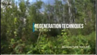 Silviculture Toolkit - REGENERATION OVERVIEW