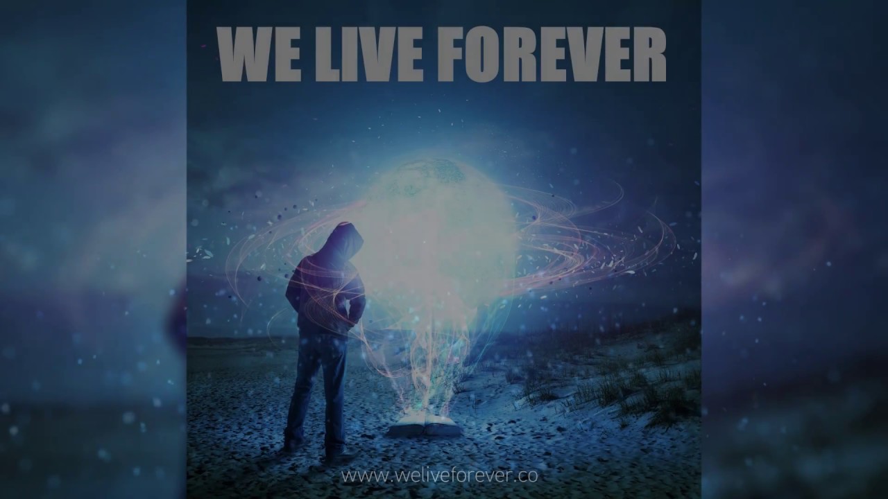 You Made by WE LIVE FOREVER (radio edit)