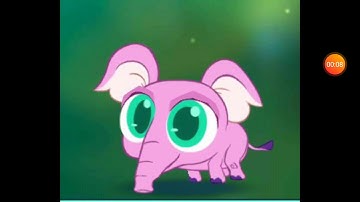 Merge Zoo Pygmy Elephant talks about the adjustment Burro