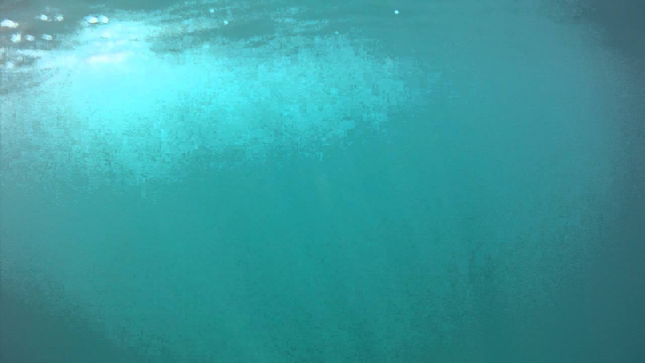 Newport Beach - looking for the Kelp Bass