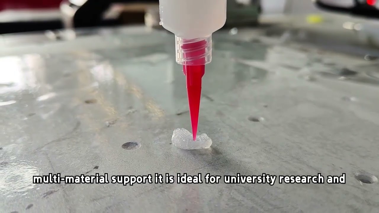 Bioprinter Utilizing Direct Ink Writing (DIW) for Bone Defect Repair Applications