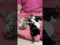 お話ししておきます #shorts