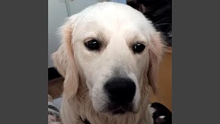 Download Lagu Glow right through me MP3