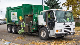 Freightliner Condor - McNeilus M/A on Curbside Recycle by Thrash 'N' Trash Productions 494,683 views 2 years ago 11 minutes, 17 seconds