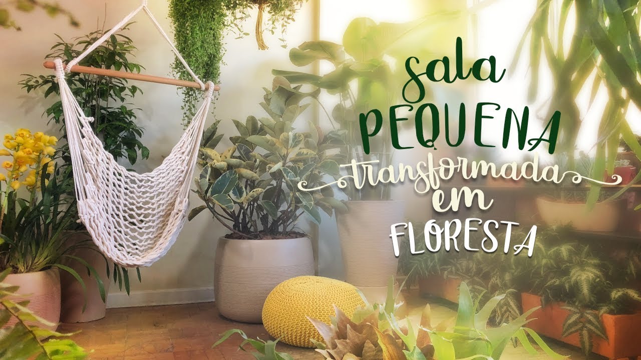 Esta SALA virou uma FLORESTA! – 