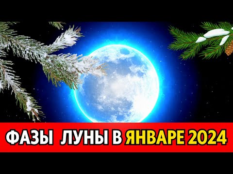 Какие фазы луны В ЯНВАРЕ 2024 года, когда полнолуние и новолуние, луна без курса в январе