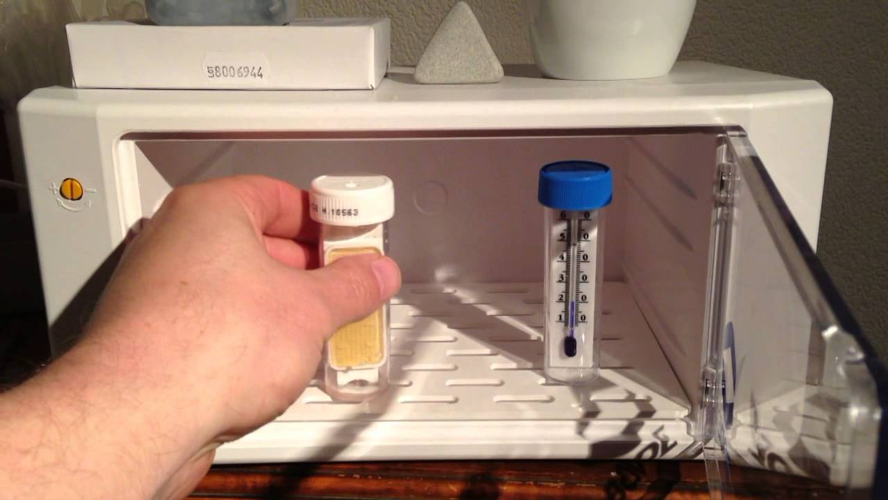 Prolytik - Service | Bakterienmessung