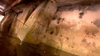 Seawall Inspection In Boca Raton