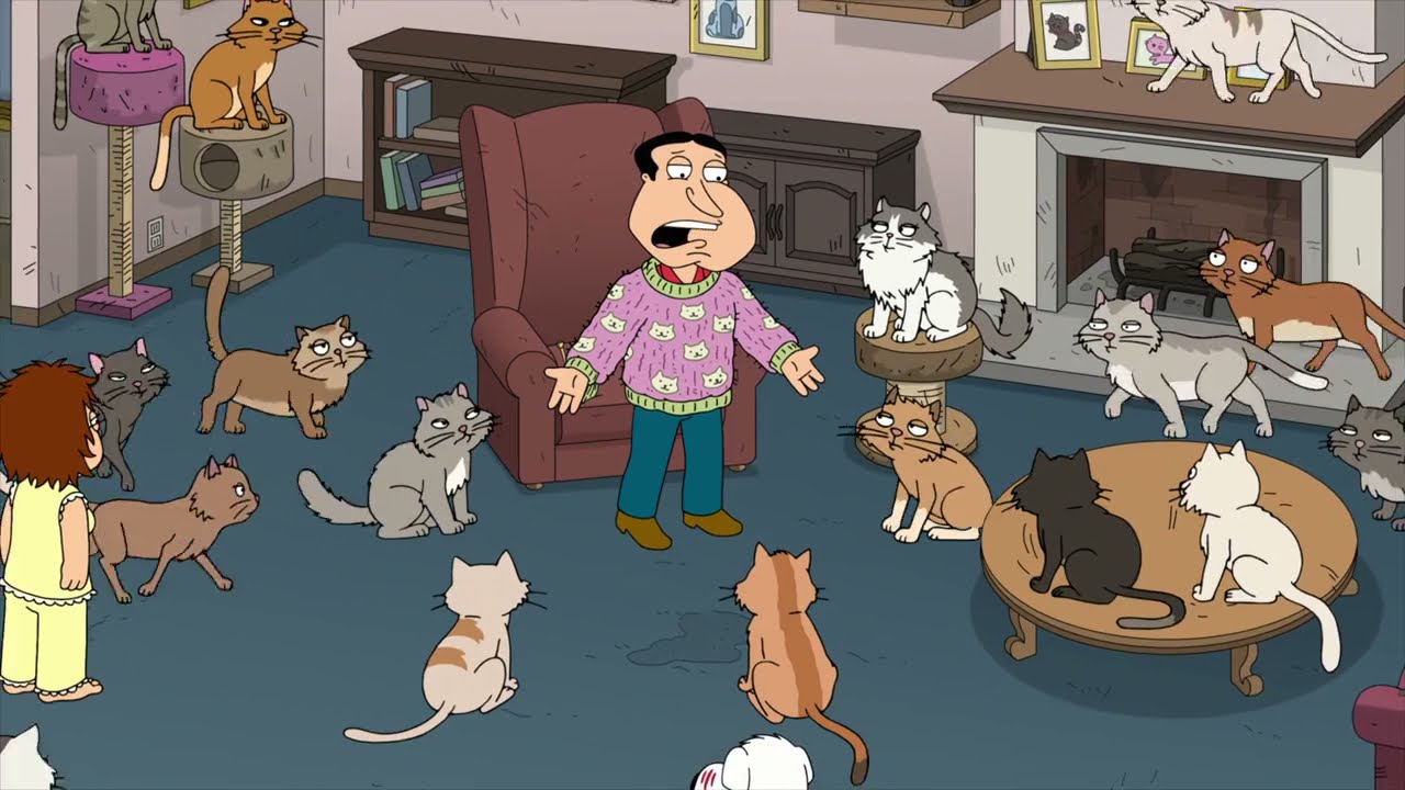 Family Guy I should be the cat lady YouTube