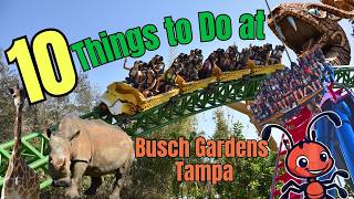 10 Things to do at Busch Gardens Tampa