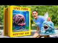I Bought a Live Fish Mystery Box from a Dark Web! | RAWWFishing Compilation