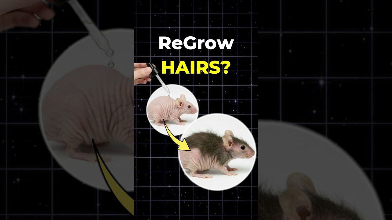 Scientists Create Hair Serum That Regrows Hair in 20 Days🤯