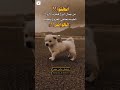 ابحثو عن جمال الروح عبارات ونصائح مفيدة حالات واتس اب رمضان تصميمي حالات واتساب حالات رمضانية