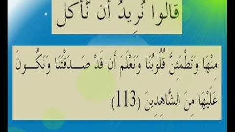 القران الكريم سورة المائدة الأية 113.wmv