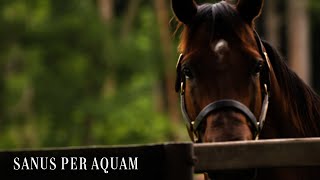 Kunigal Stud Farm 2020