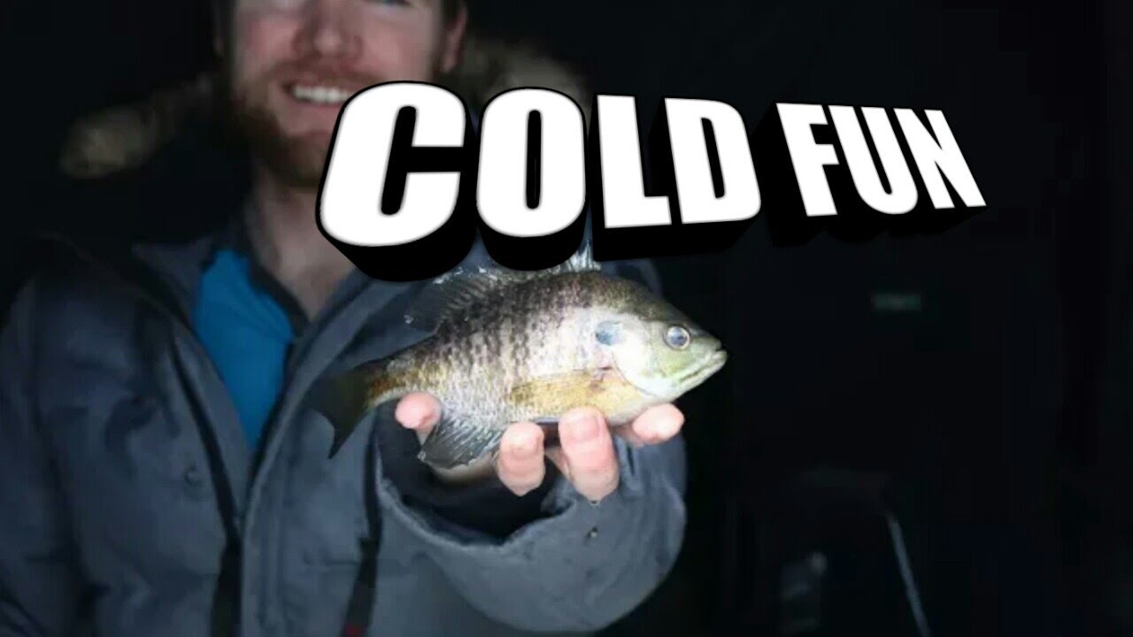 Ice Fishing Bluegill at Pinehurst lake YouTube