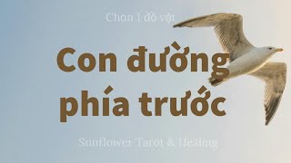 Chọn 1 đồ vật - Con đường phía trước