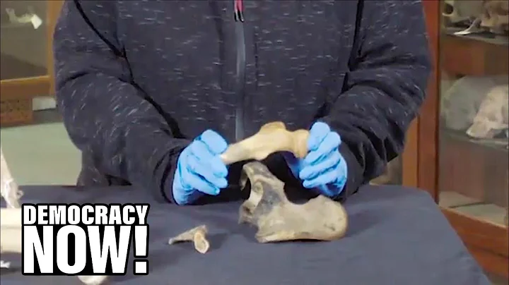 Ivy League Secret Exposed: Classes Used Bones of B...