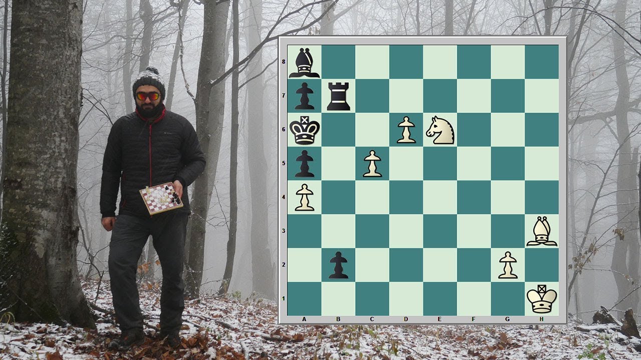 Simple Chess - You must take your opponent into a deep dark forest where  2+2=5, and the path leading out is only wide enough for one. __ Mikhail Tal  #chess #Check #simplechess #