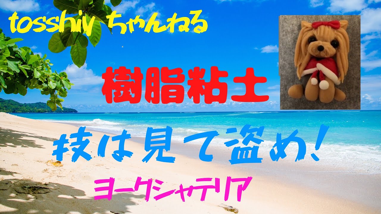 樹脂粘土 ヨークシャテリア Xmasバージョン Youtube 樹脂粘土 ヨークシャテリア Xmasバージョン Youtube