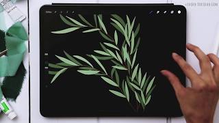 3 Eucalyptus Types Anyone Can Draw in Procreate