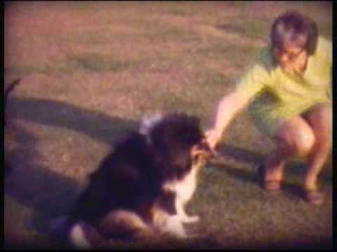 Mum Bailey & Vaughn & The Bush Family 71.flv