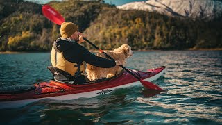 Dax, Shop Dog | A Headwaters Kayak Short Film