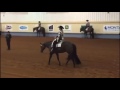 Cathrin Gutmann und Onlyafraid Inthedark bei der AQHA World Show 2016.