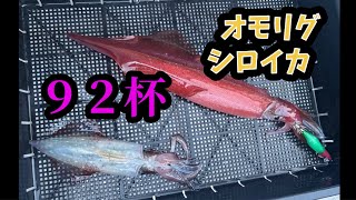 Omorig. 92 squid (swordtip squid and white squid)! - YouTube