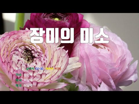 [은성 반주기] 장미의미소 - 신인수