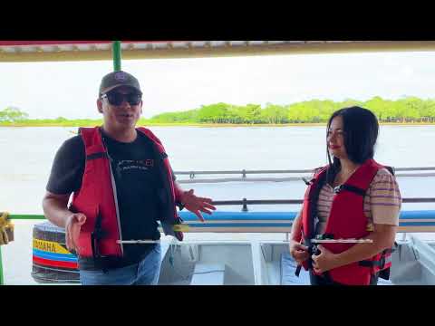 Avistamiento de toninas o delfines rosados un espectáculo que aprecia en el #ParaísoNatural