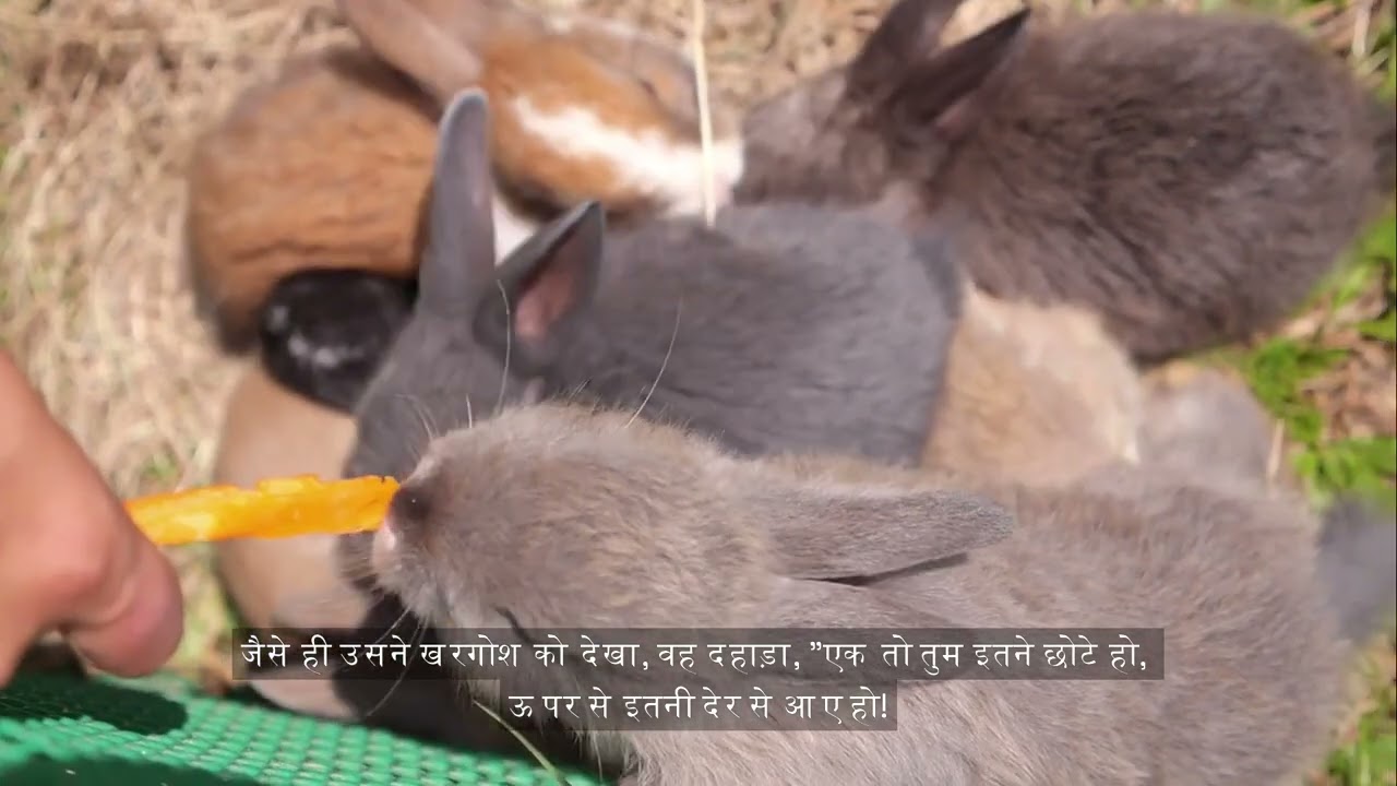 बुद्धिमानी का उपयोग