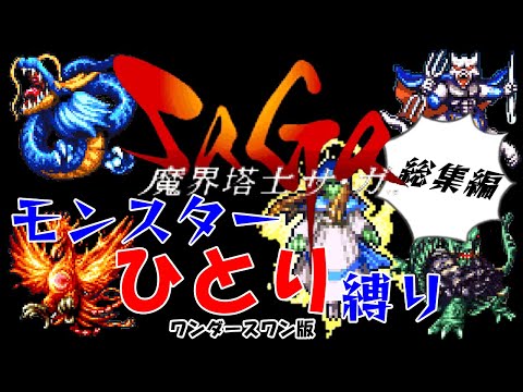 新品 ワンダースワンカラーソフト 魔界塔士サ・ガ（SaGa サガ）WSC