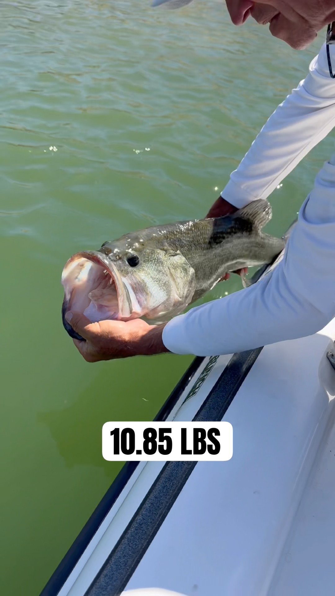 The release on my dad's 1st DD! #bassfishing - YouTube