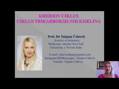 Video: Koju ulogu igra Krebsov ciklus u ćeliji?