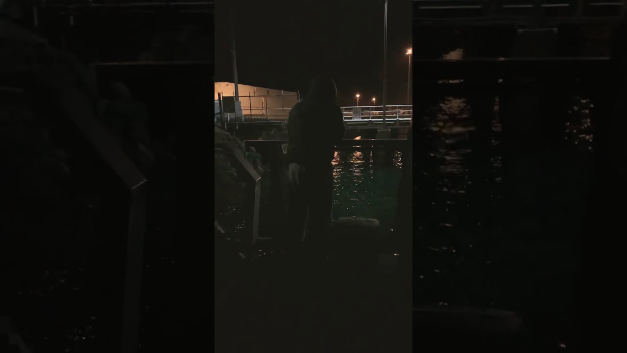 Whangarei NZ Wharf Squid Fishing