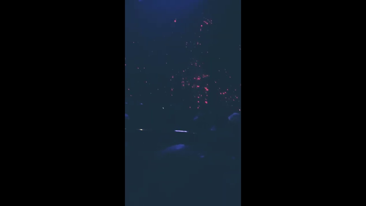 Stunning vocals Mariah Carey’s “Emotions” intro Butterfly Returns 02/14/2020 LAS VEGAS