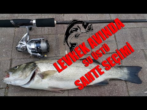 Levrek Avında Su Üstü Sahte Seçimi / İzlemeden Seçim Yapma / Sea Bass Top Water Lures