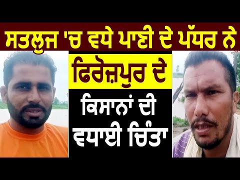 Satluj में जल स्तर बढ़ने से सहमे Firozpur के किसान