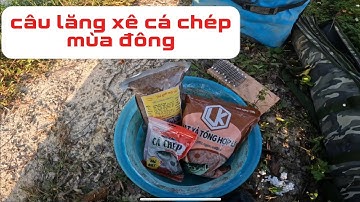 Câu lăng xê cá chép mùa đông với bài mồi thập cẩm 