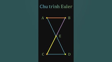 Chu trình Euler