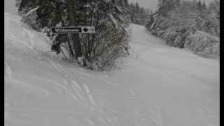 Burke Mountain- Wilderness to Powderhorn - Via Dipper